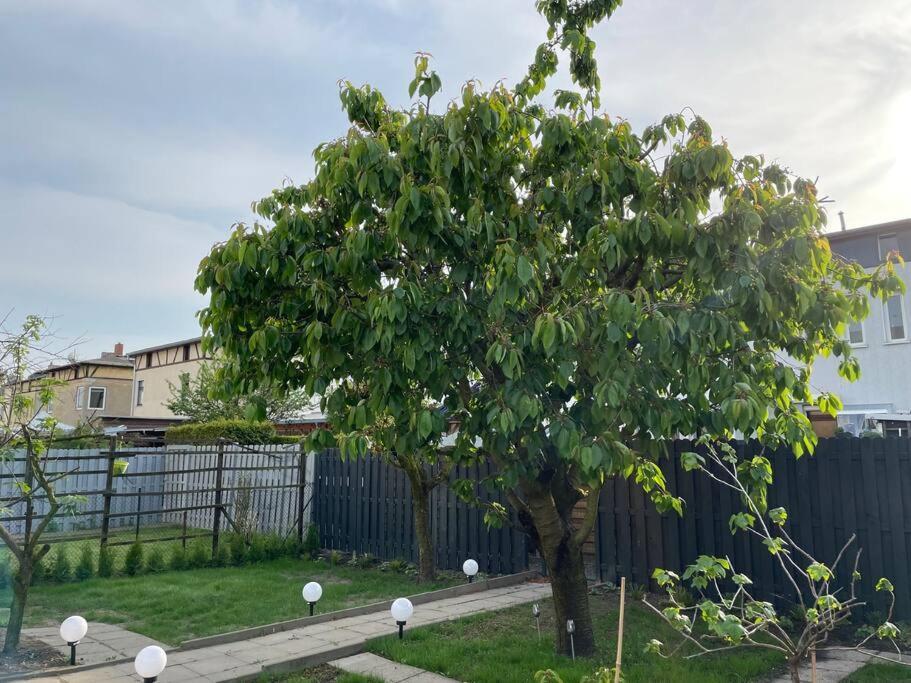 Schoenes Reihenhaus Mit Garten 마그데부르크 외부 사진